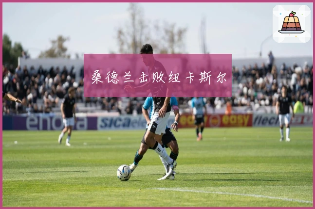 桑德兰击败纽卡斯尔