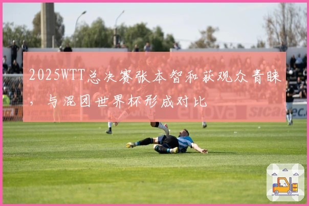 2025WTT总决赛张本智和获观众青睐，与混团世界杯形成对比